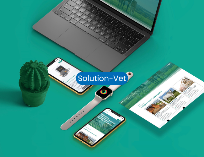 Solution Vet
